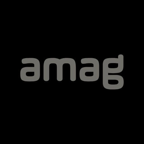 Logo der AMAG, Referenzkunde für Firmen-Teamevents aus der Region St. Gallen